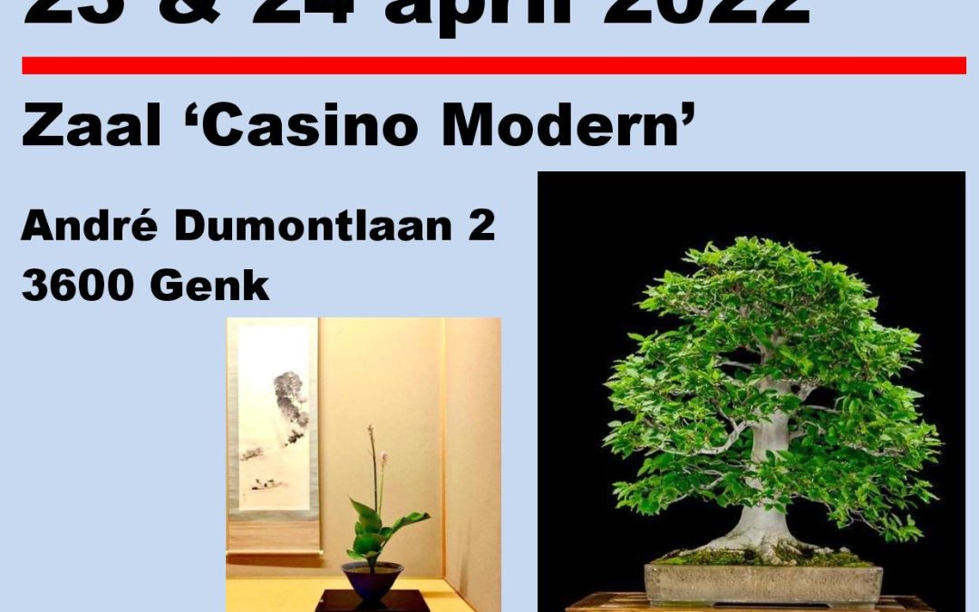 Bonsai vereniging SHINPAKU  viert haar  30 JARIG bestaan